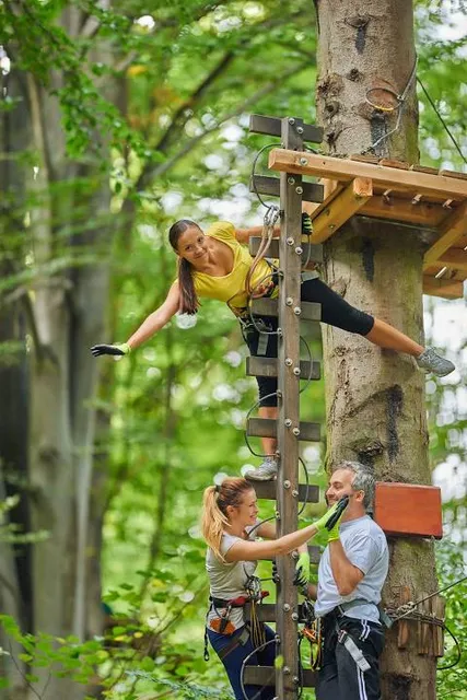 Frankenmuth Aerial Park