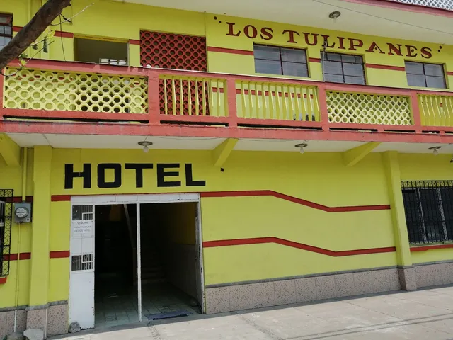 Hotel tulipanes