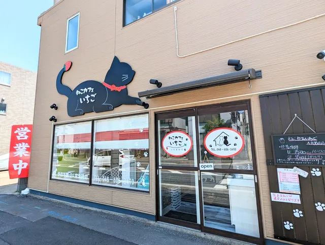 ねこカフェいちご 大宮黒猫店