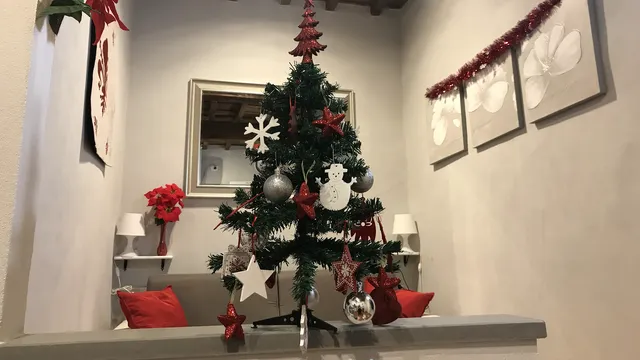 APARTMENTS I'BIANCONE