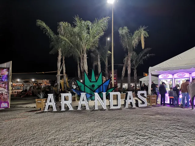 Feria de Arandas
