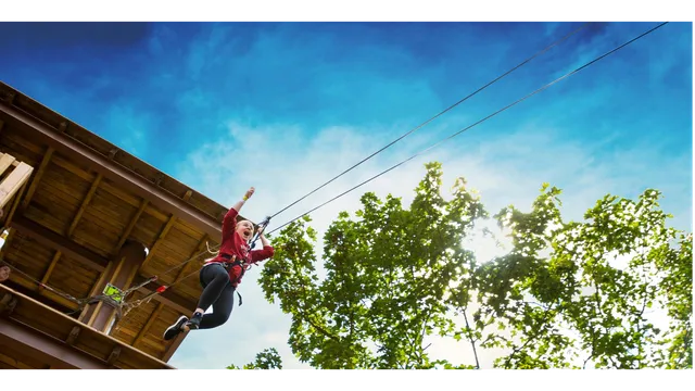 Go Ape Zipline and Adventure Park