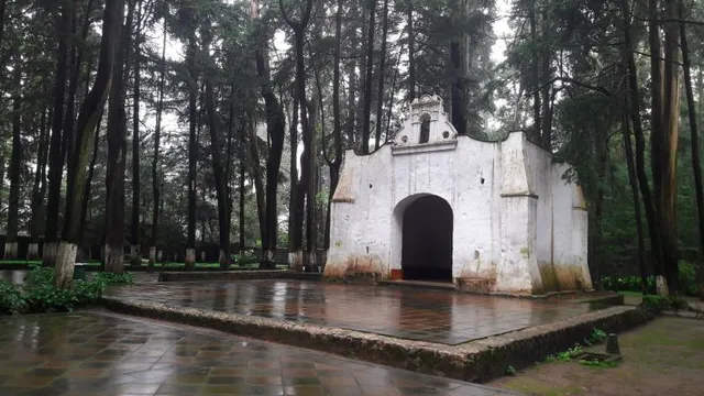 Desierto de los Leones National Park