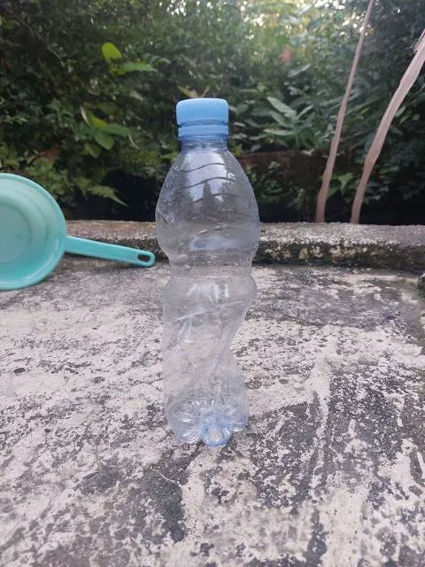 The Black House Museum at Woodlawn