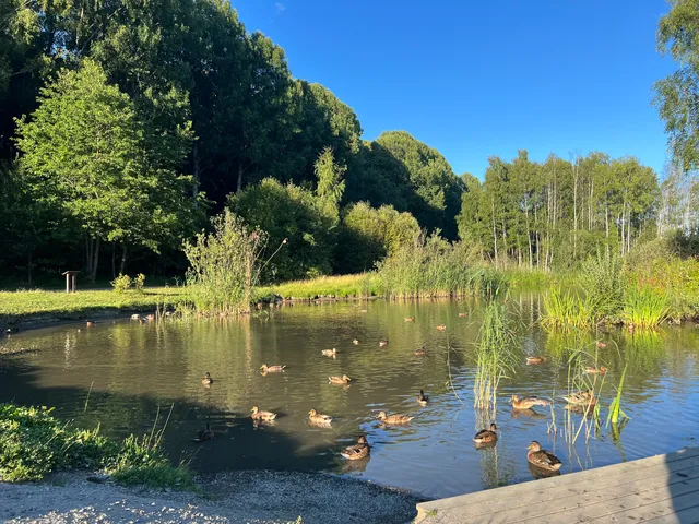Rågsveds naturreservat