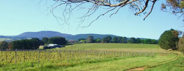 Canobolas Wines
