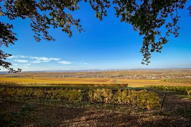 Hiwweltour Aulheimer Valley