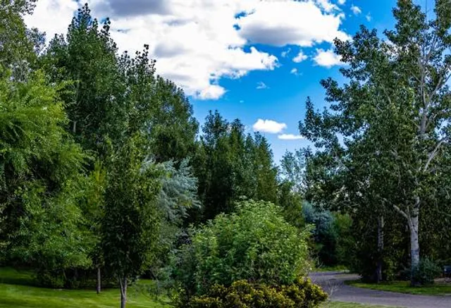 Tillebrook Provincial Park