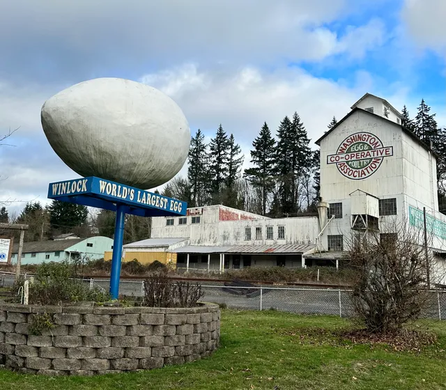 World's Largest Egg