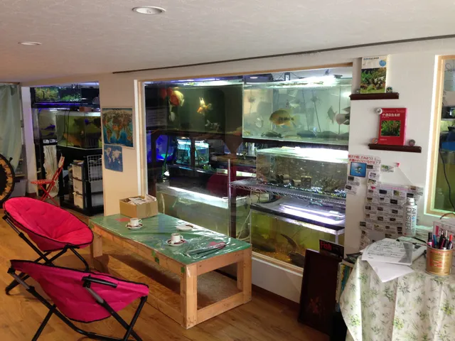 Hanazono Church Aquarium