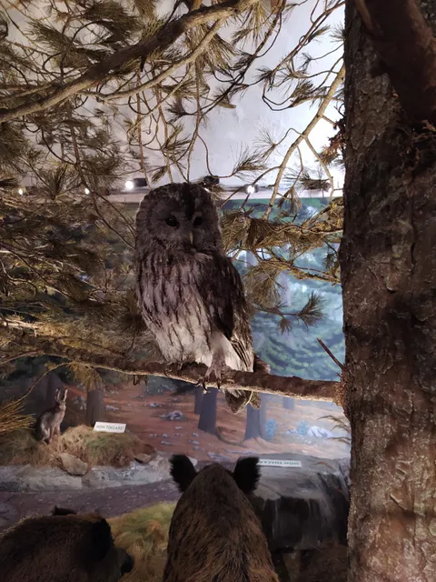 Centro Visita Alevé