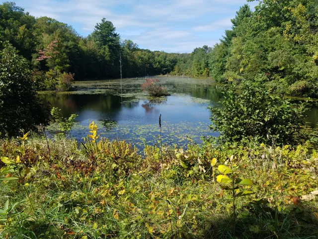 Black Hut Management Area Trailhead