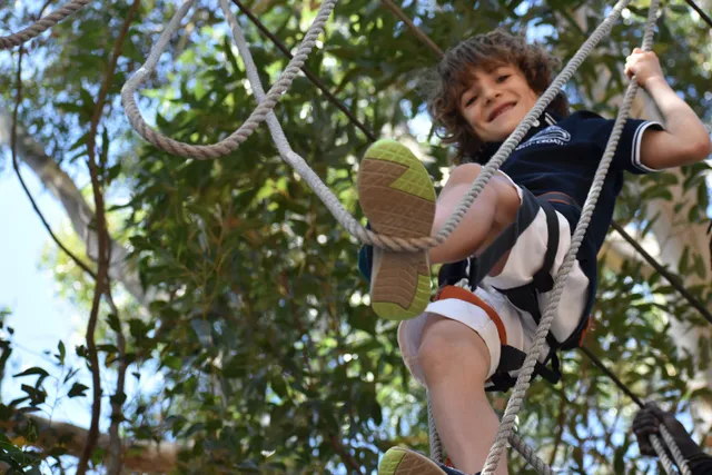 Acrobranch Constantia