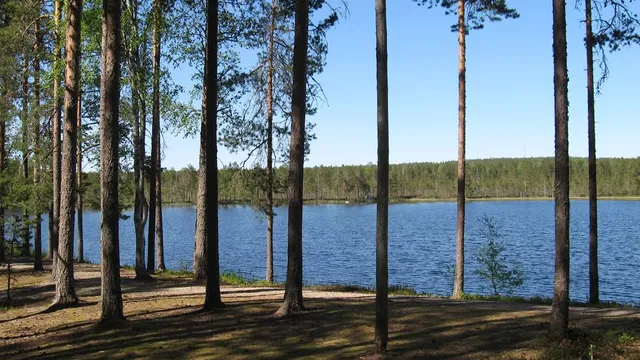 Spitaalijärvi