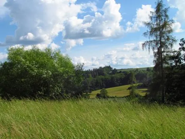 St. Catherine's Park