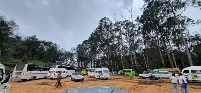 Moir Point parking area