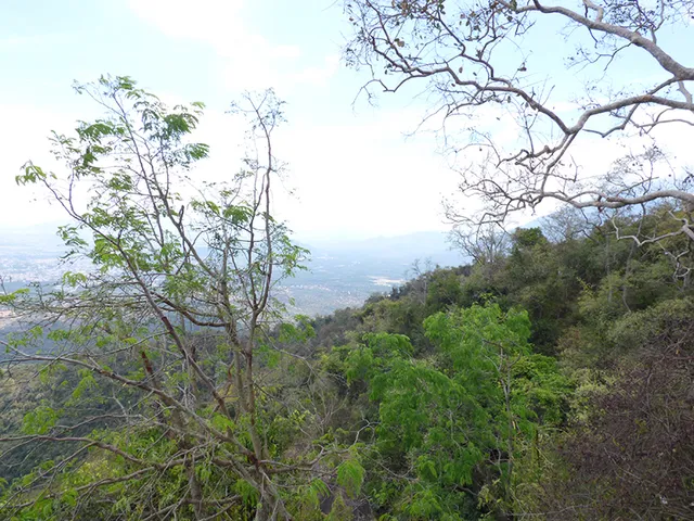 Mettupalayam View Point