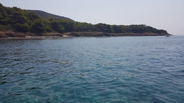 Area marina protetta Santa Maria di Castellabate