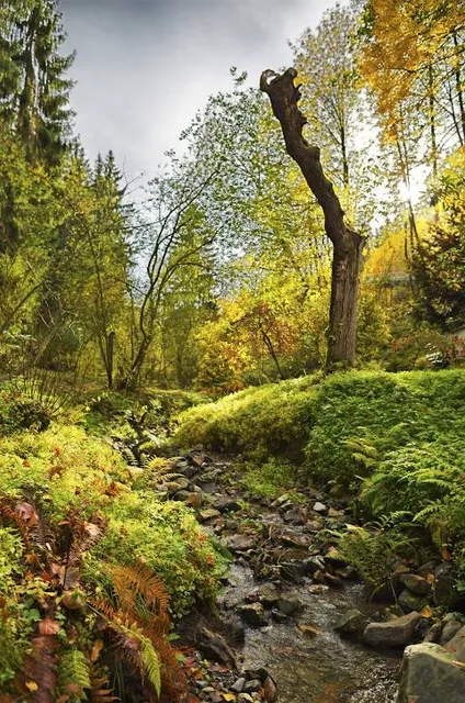 Forstbotanischer Garten Tharandt
