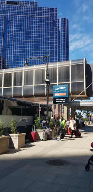 Greyhound Package Express