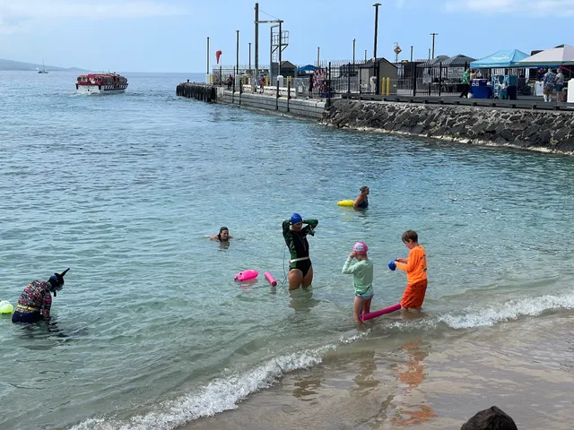 Salty Swim School, LLC.