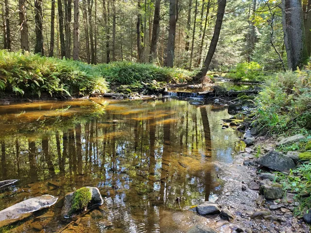 McCalls Dam State Park
