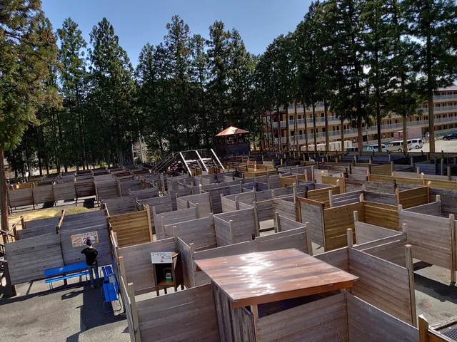 Grand Maze Palladium