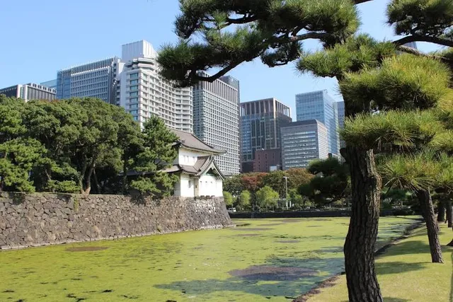 Edo Castle Ruins