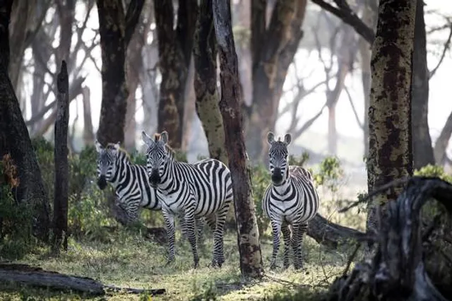 Crescent Island Game Sanctuary