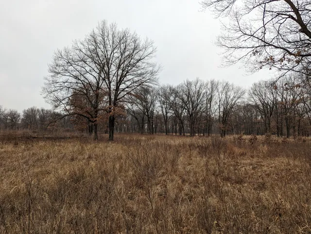 Hoosier Prairie State Nature Preserve