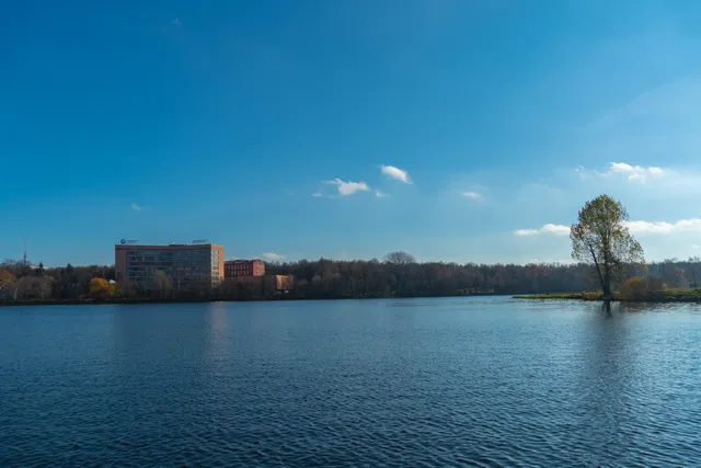 Beach Academic ponds