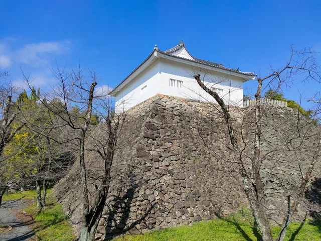 Kameyama Castle