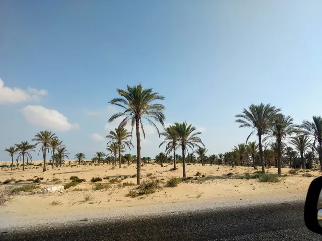 Zaranik Protectorate