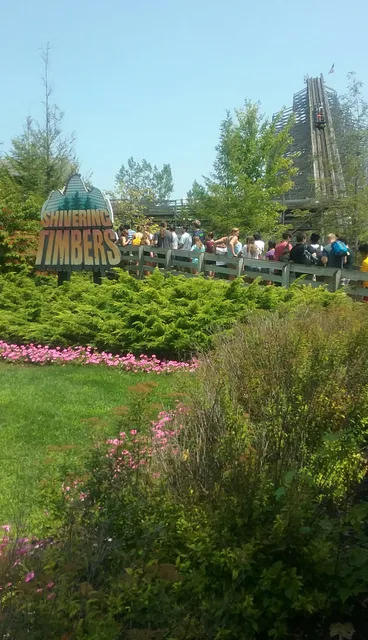 photo-3