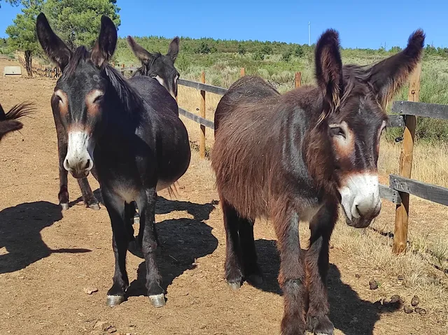 Parque Ibérico de Natureza e Aventura (PINTA)