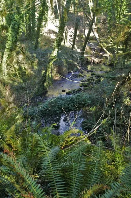 Tryon Creek State Natural Area