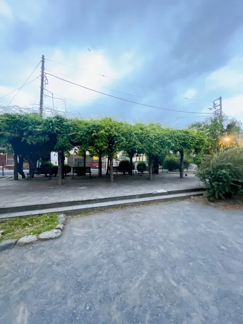 photo-1