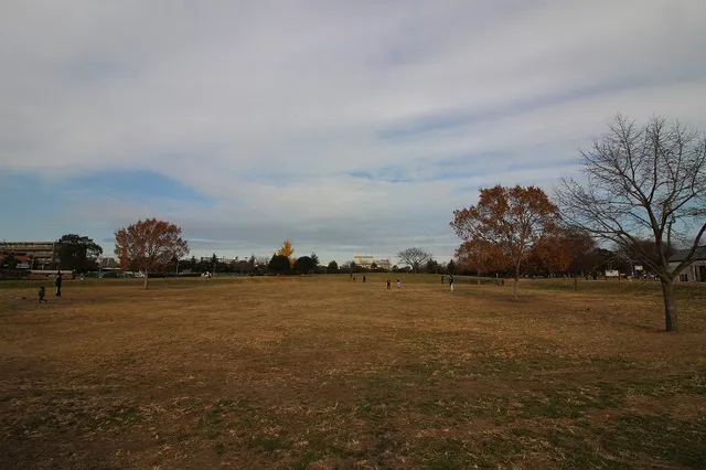 Nakagawa Park Area B