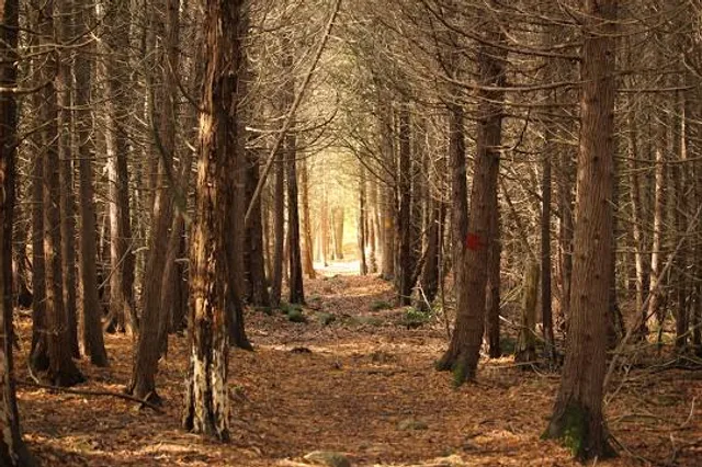 Macaulay Mountain Conservation Area