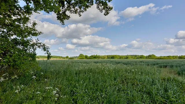 Hüttener Berge Nature Park e.V.