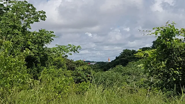 Sendero Ecológico Cerro Gordo, Costa Verde, La Chorrera Panamá