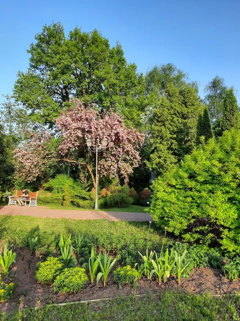photo-1