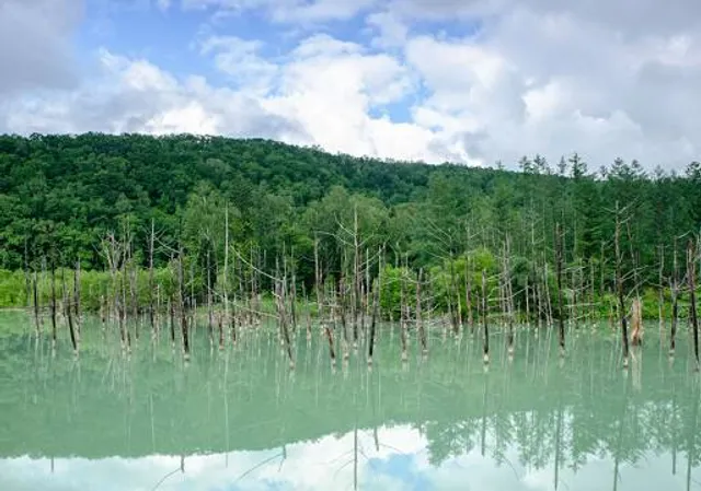 Railway Bridge No. 27