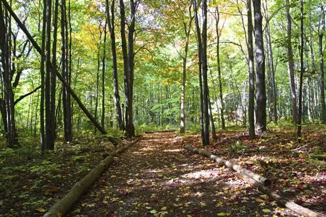 Pine River Nature Center