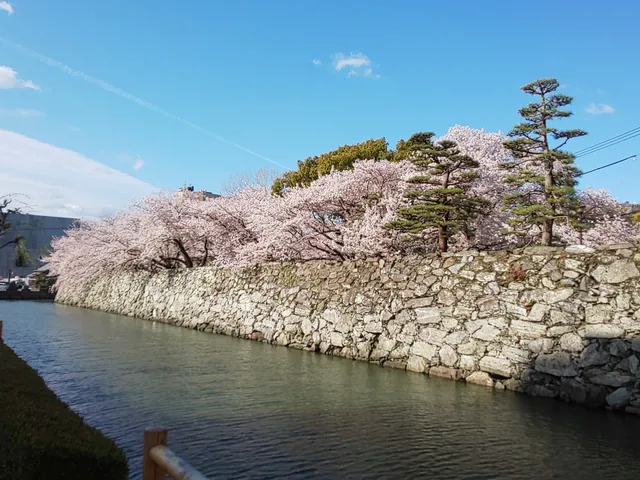 Tokushima Central Park