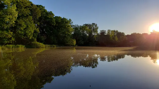 Thurston Nature Center