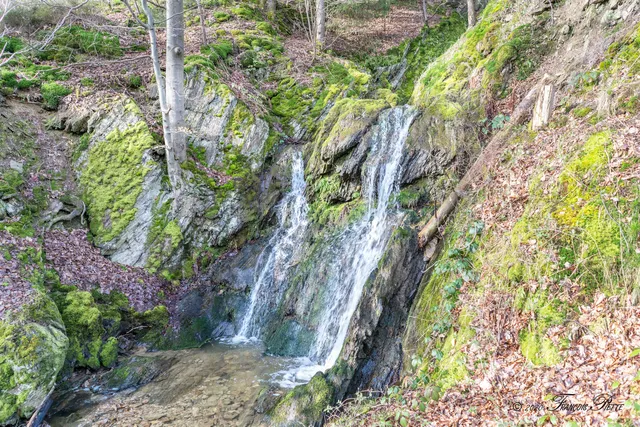 Cascade de haldeboeuf