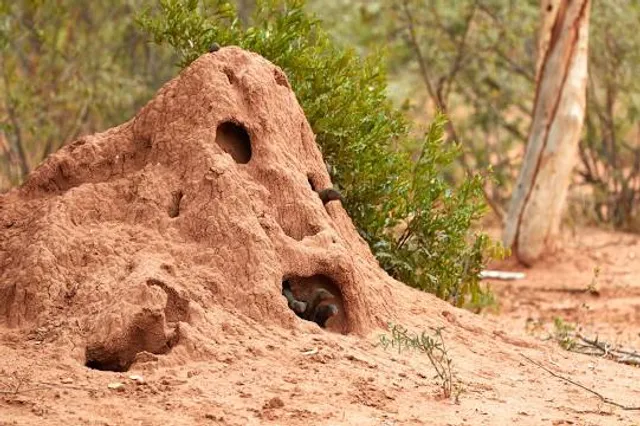 Blouberg Local Municipality