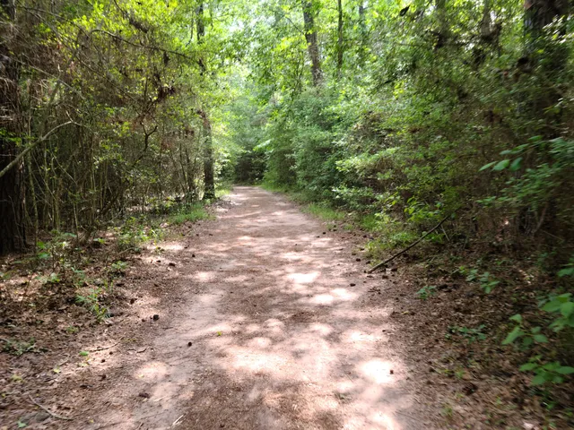 George Mitchell Preserve