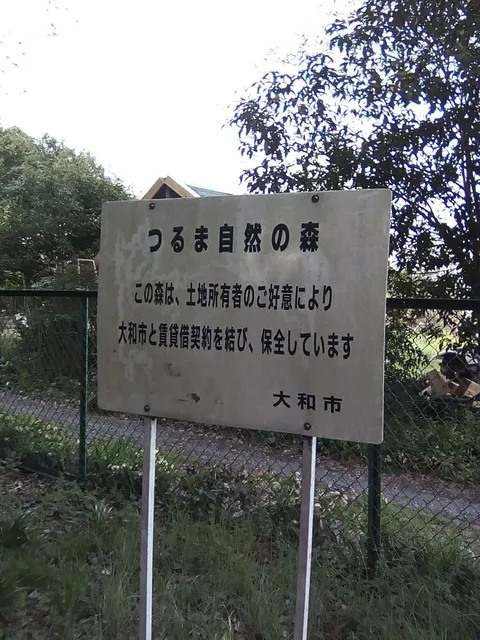 Tsuruma Natural Forest